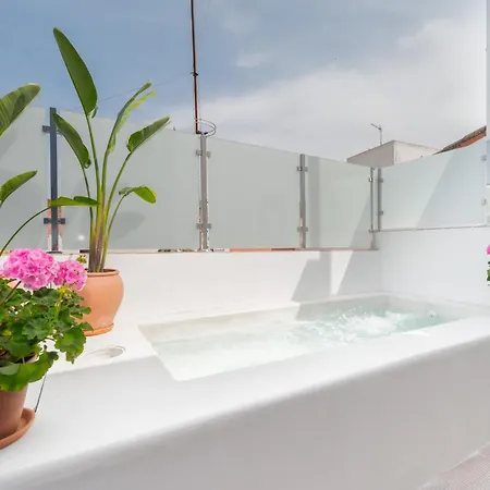 Apartment Luxurious Overlooking Casa Pilatos Seville